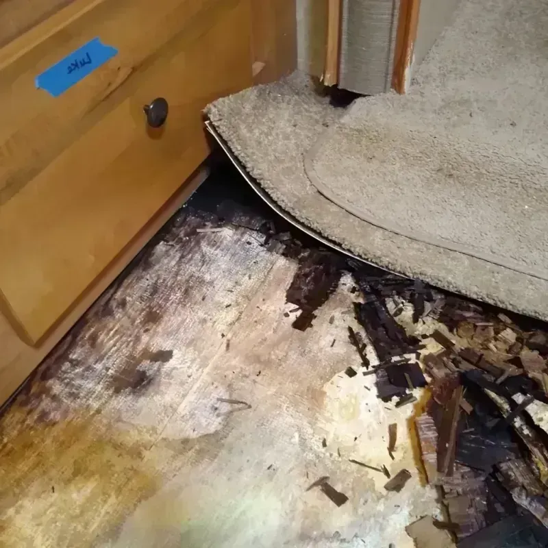 Best Wood Floor Water Damage Service in Kalida, OH